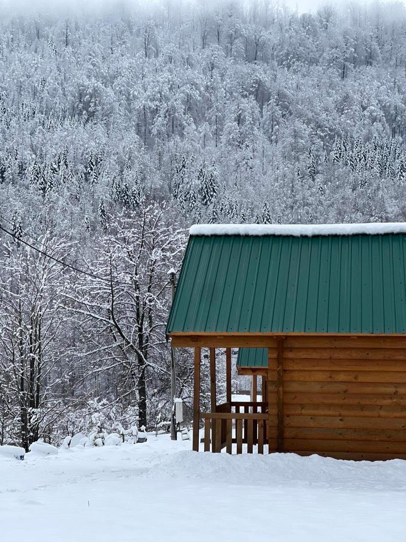 Matesevo Guest Hauses Villa Kolašin Buitenkant foto